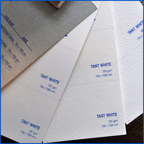 Giấy Tant White